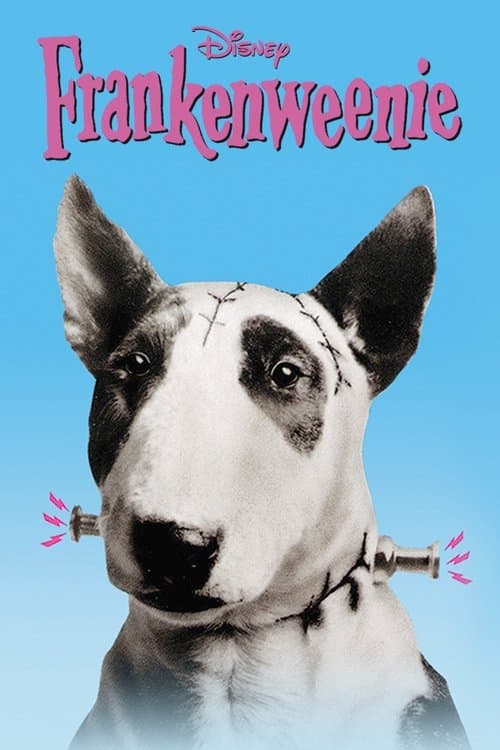 Pôster de Frankenweenie