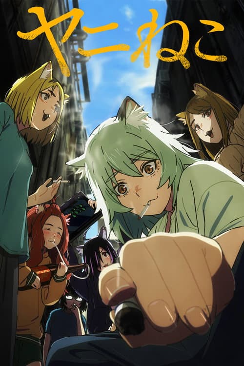 Pôster de Chainsmoker Cat