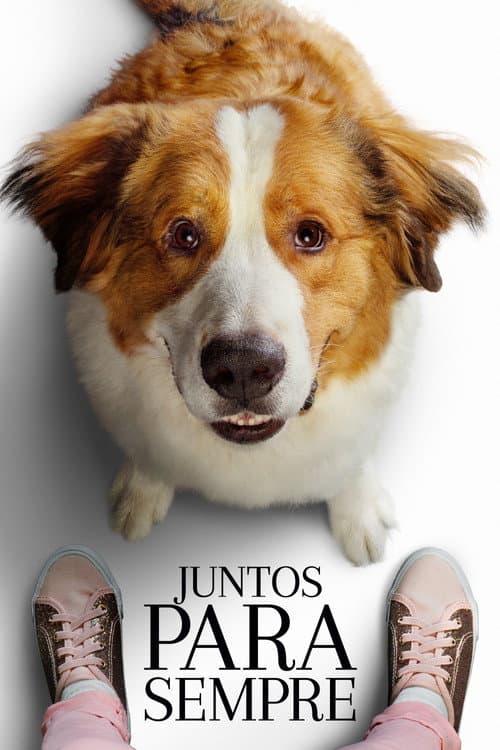 Pôster de Juntos para Sempre