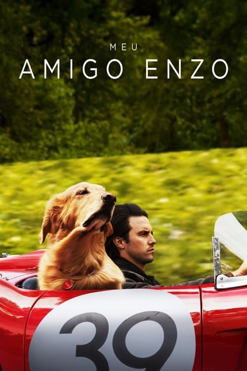 Pôster de Meu Amigo Enzo