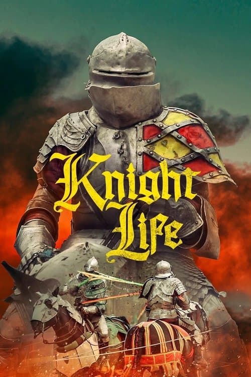 Pôster de Knight Life