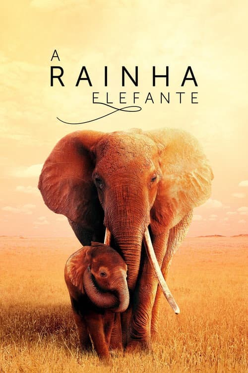 Pôster de The Elephant Queen