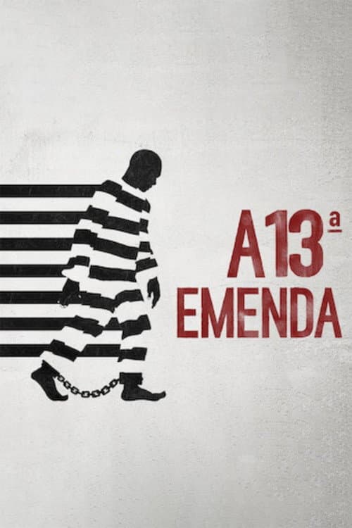 Pôster de A 13ª Emenda