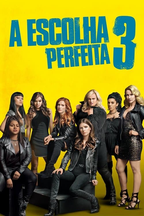 Pôster de A Escolha Perfeita 3
