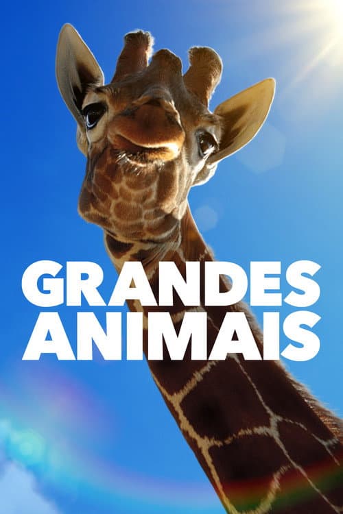 Pôster de Grandes Animais