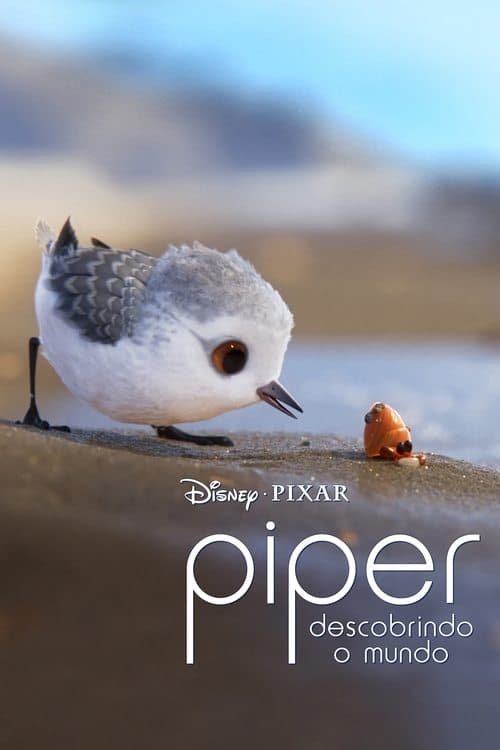 Pôster de Piper: Descobrindo o Mundo