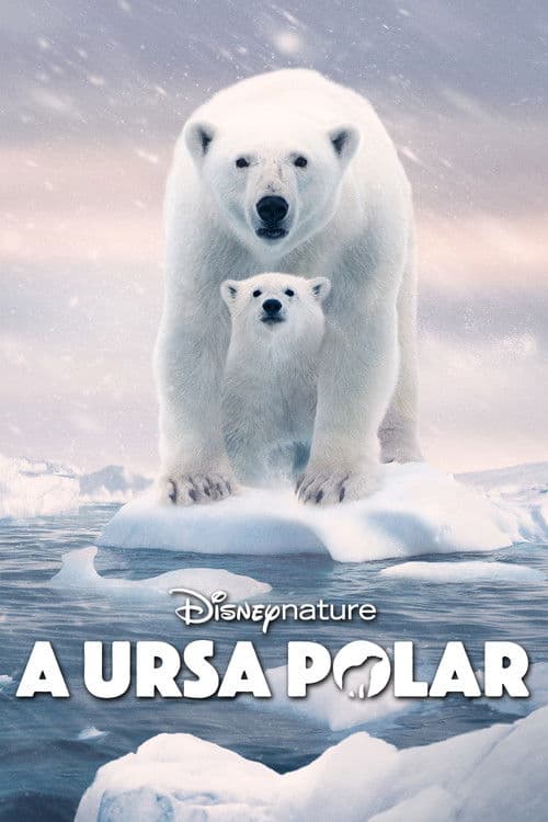 Pôster de A Ursa Polar