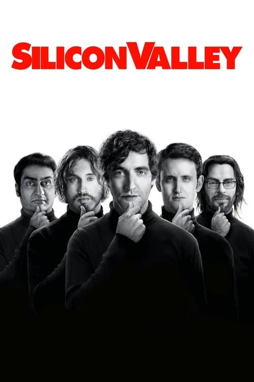 Pôster de Silicon Valley
