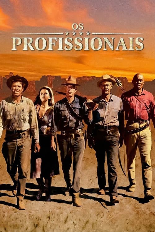 Pôster de Os Profissionais