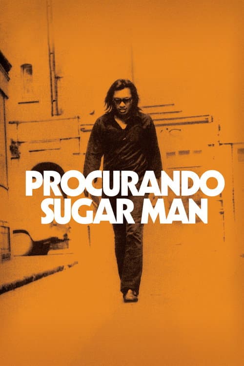 Pôster de Procurando Sugar Man