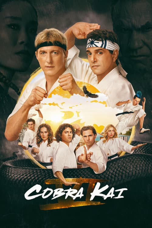 Pôster de Cobra Kai