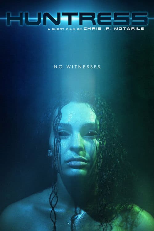 Pôster de Huntress
