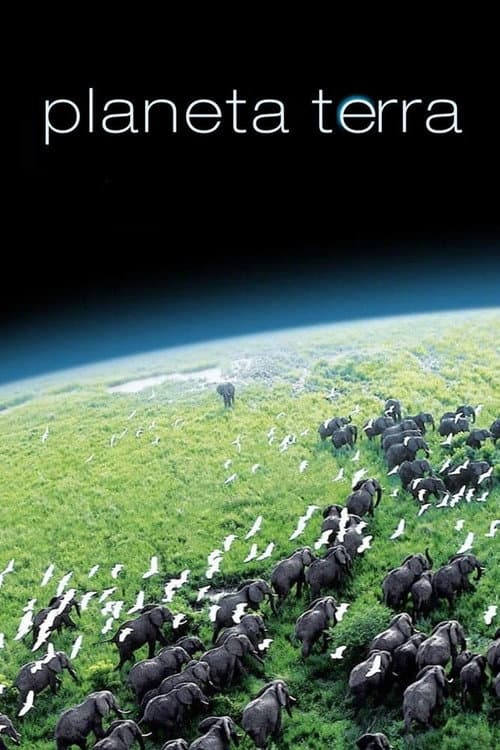 Pôster de Planeta Terra