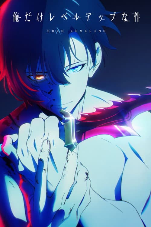 Pôster de Solo Leveling