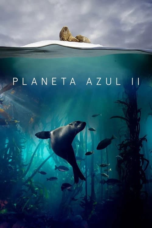 Pôster de Planeta Azul II