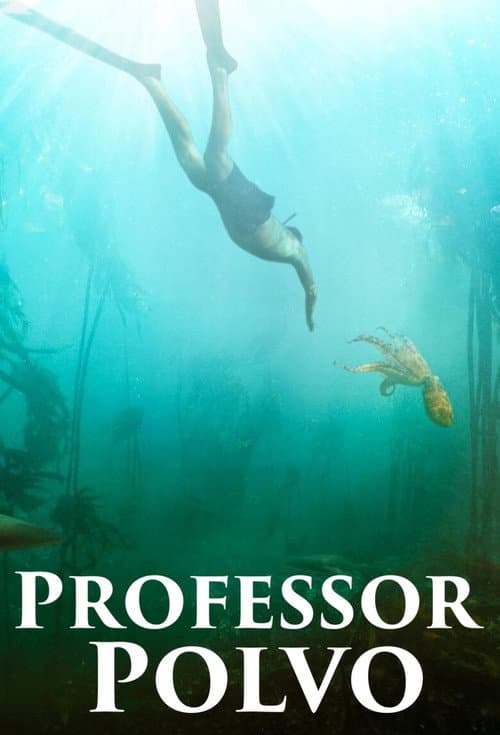 Pôster de Professor Polvo