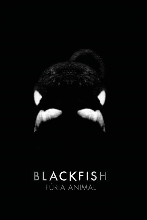 Pôster de Blackfish: Fúria Animal