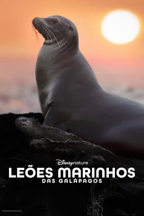 Pôster de Leões-Marinhos de Galápagos