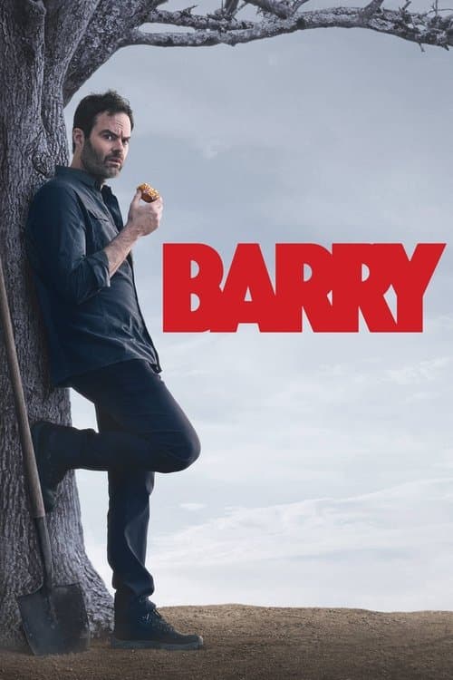 Pôster de Barry