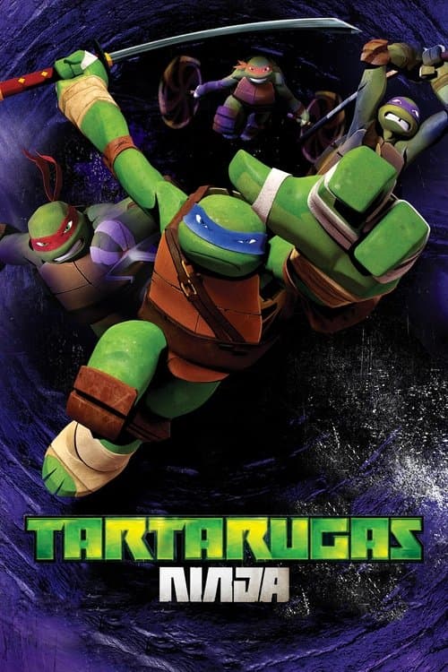 Pôster de As Tartarugas Ninjas