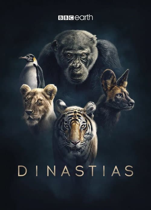 Pôster de Dinastias