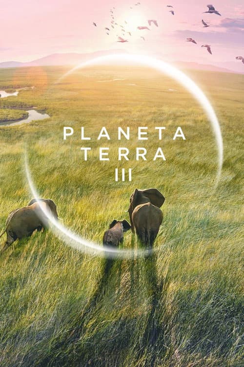 Pôster de Planeta Terra III