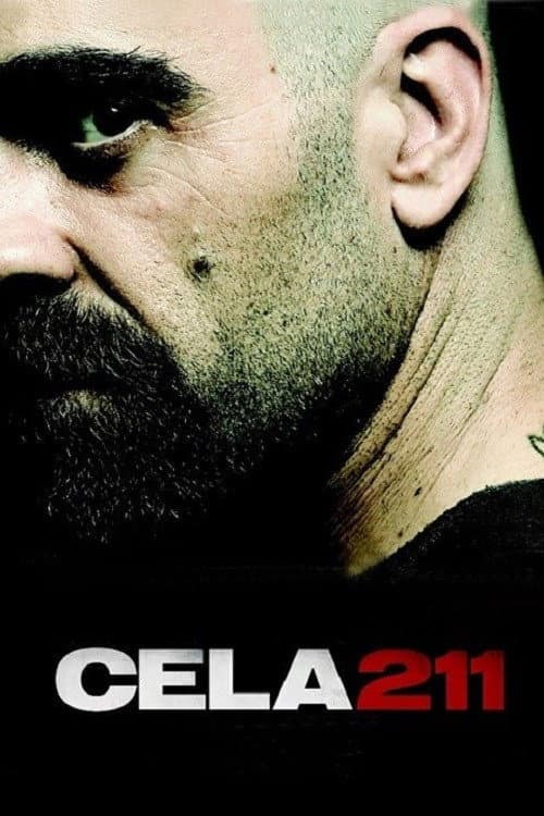 Pôster de Cela 211
