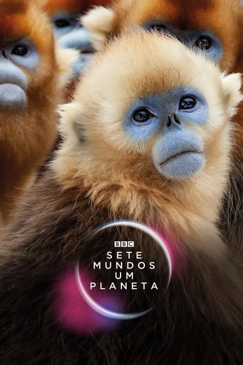 Pôster de Sete Mundos, Um Planeta