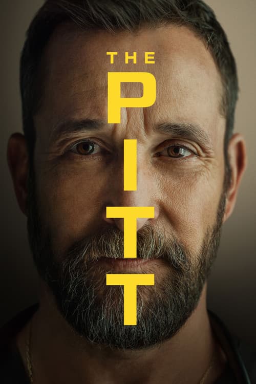 Pôster de The Pitt