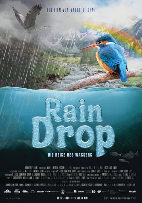 Pôster de Raindrop