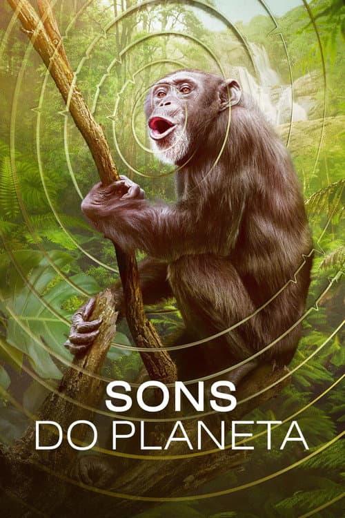 Pôster de Sons do Planeta