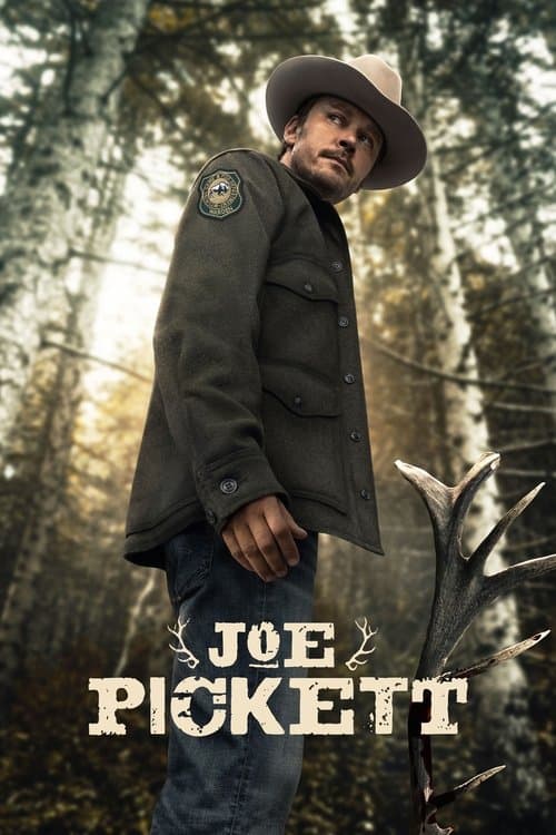 Pôster de Joe Pickett