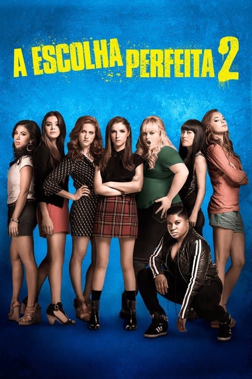 Pôster de A Escolha Perfeita 2