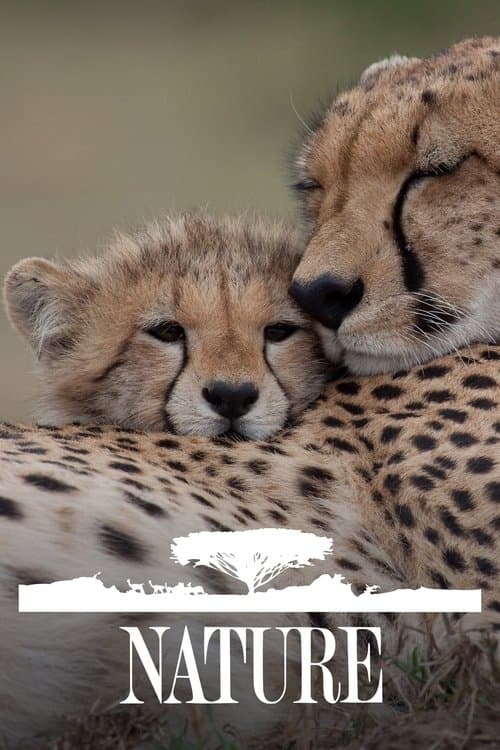 Pôster de Nature