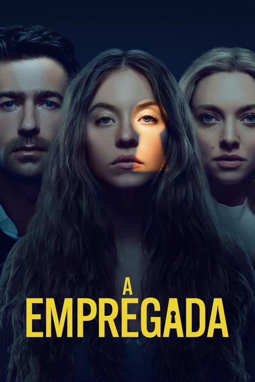 Pôster de A Empregada