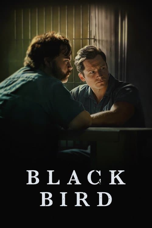 Pôster de Black Bird