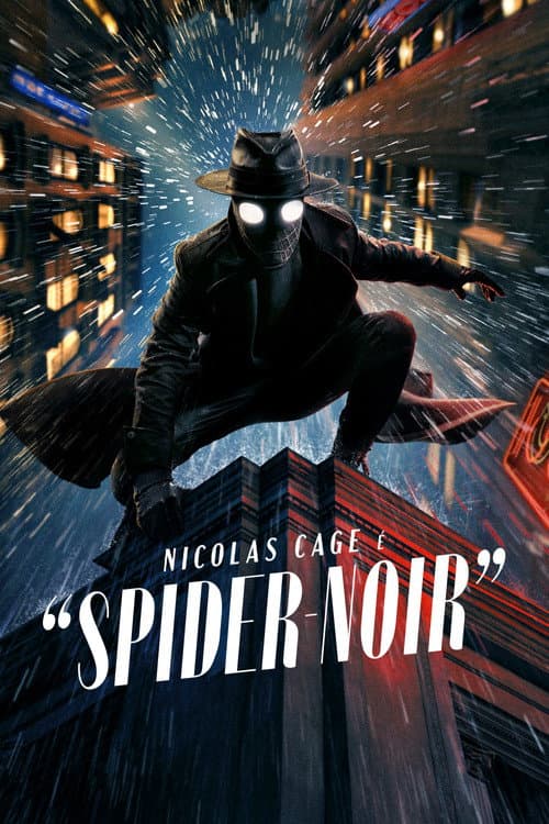 Pôster de Spider-Noir