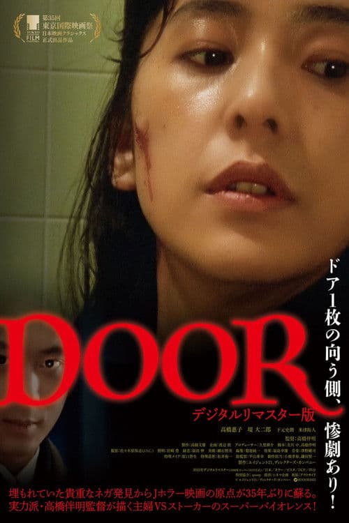Pôster de DOOR