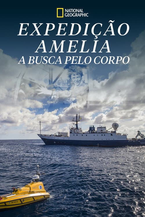 Pôster de Expedição Amelia: A Busca Pelo Corpo