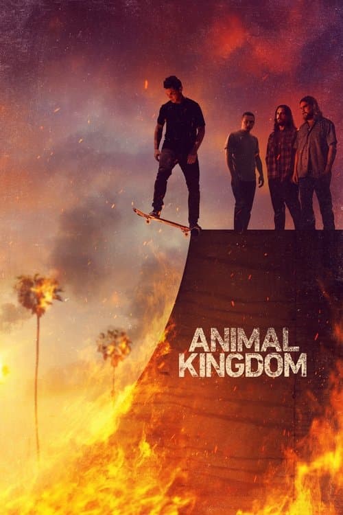 Pôster de Animal Kingdom