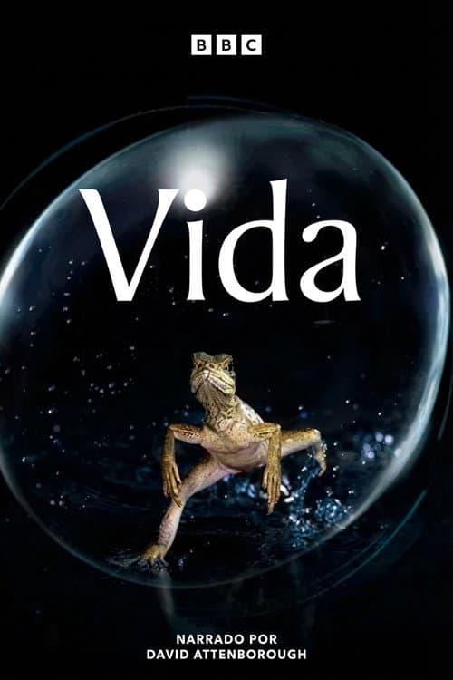 Pôster de Vida