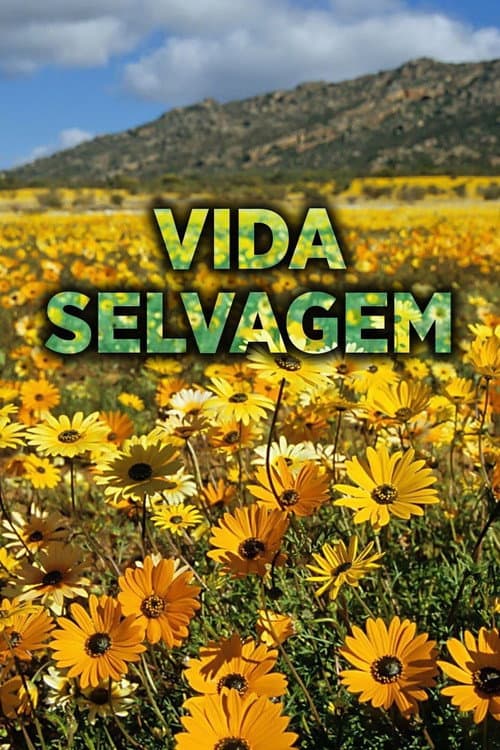 Pôster de Vida Selvagem