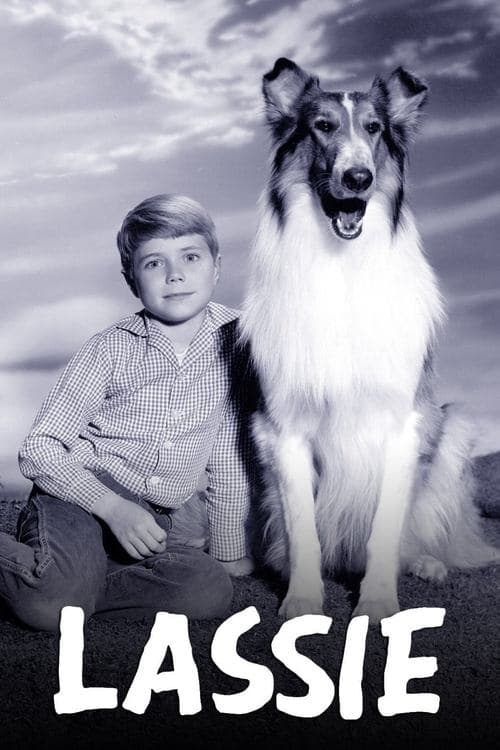 Pôster de Lassie