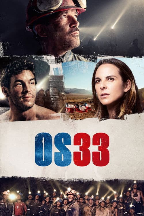 Pôster de Os 33