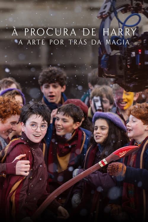 Pôster de À Procura de Harry: A Arte por Trás da Magia