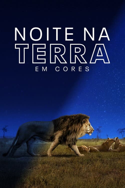 Pôster de Noite na Terra em Cores